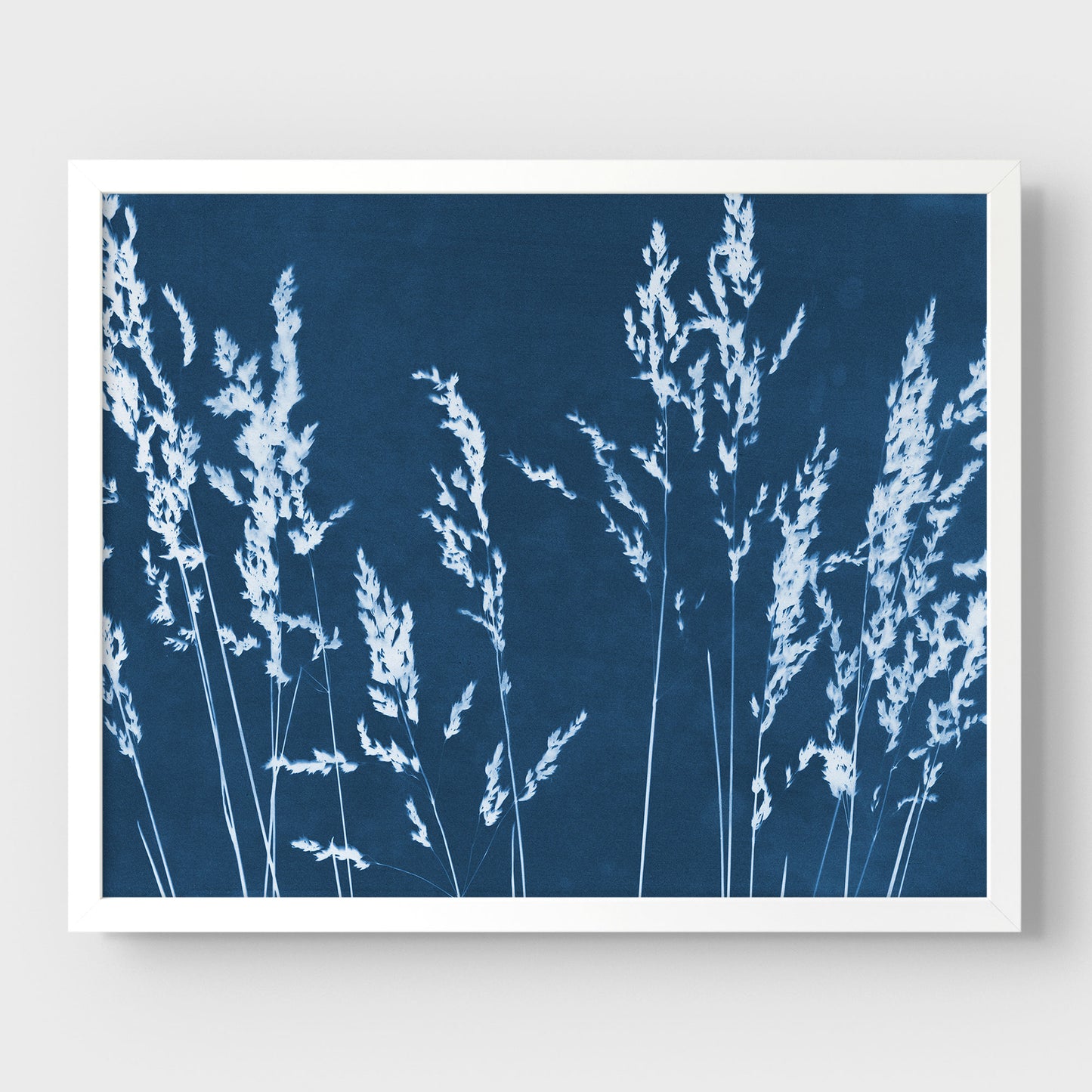 Wild Grasses Cyanotype Print