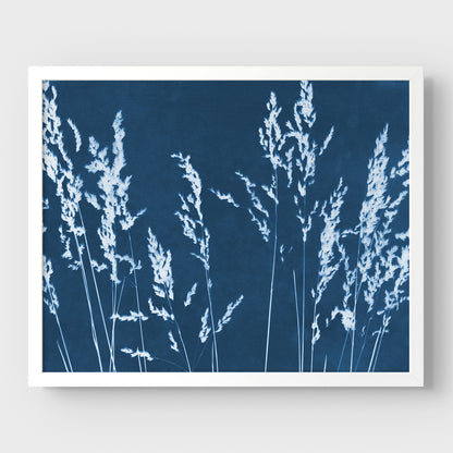 Wild Grasses Cyanotype Print