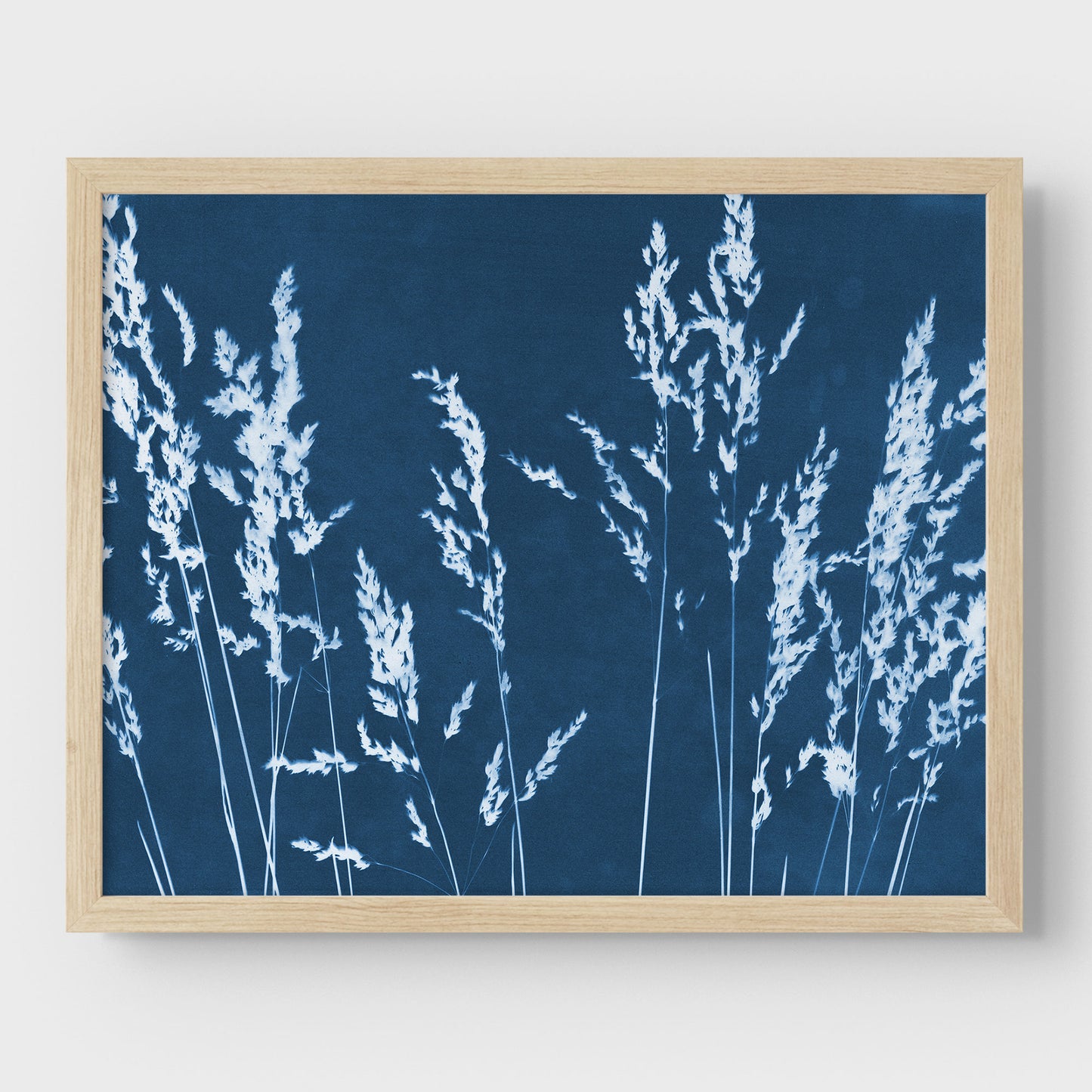 Wild Grasses Cyanotype Print