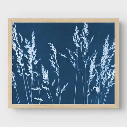 Wild Grasses Cyanotype Print