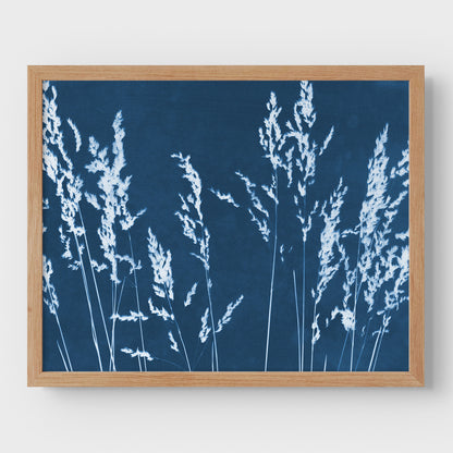 Wild Grasses Cyanotype Print