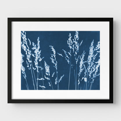 Wild Grasses Cyanotype Print