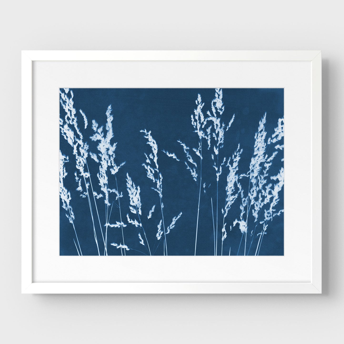Wild Grasses Cyanotype Print