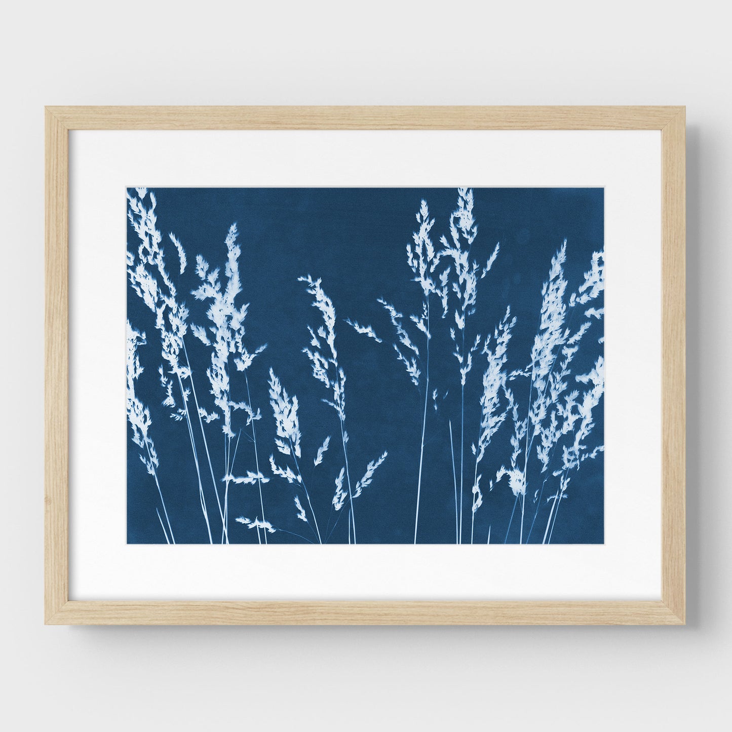 Wild Grasses Cyanotype Print