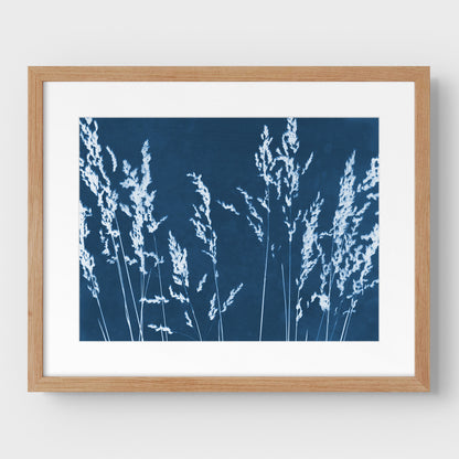 Wild Grasses Cyanotype Print