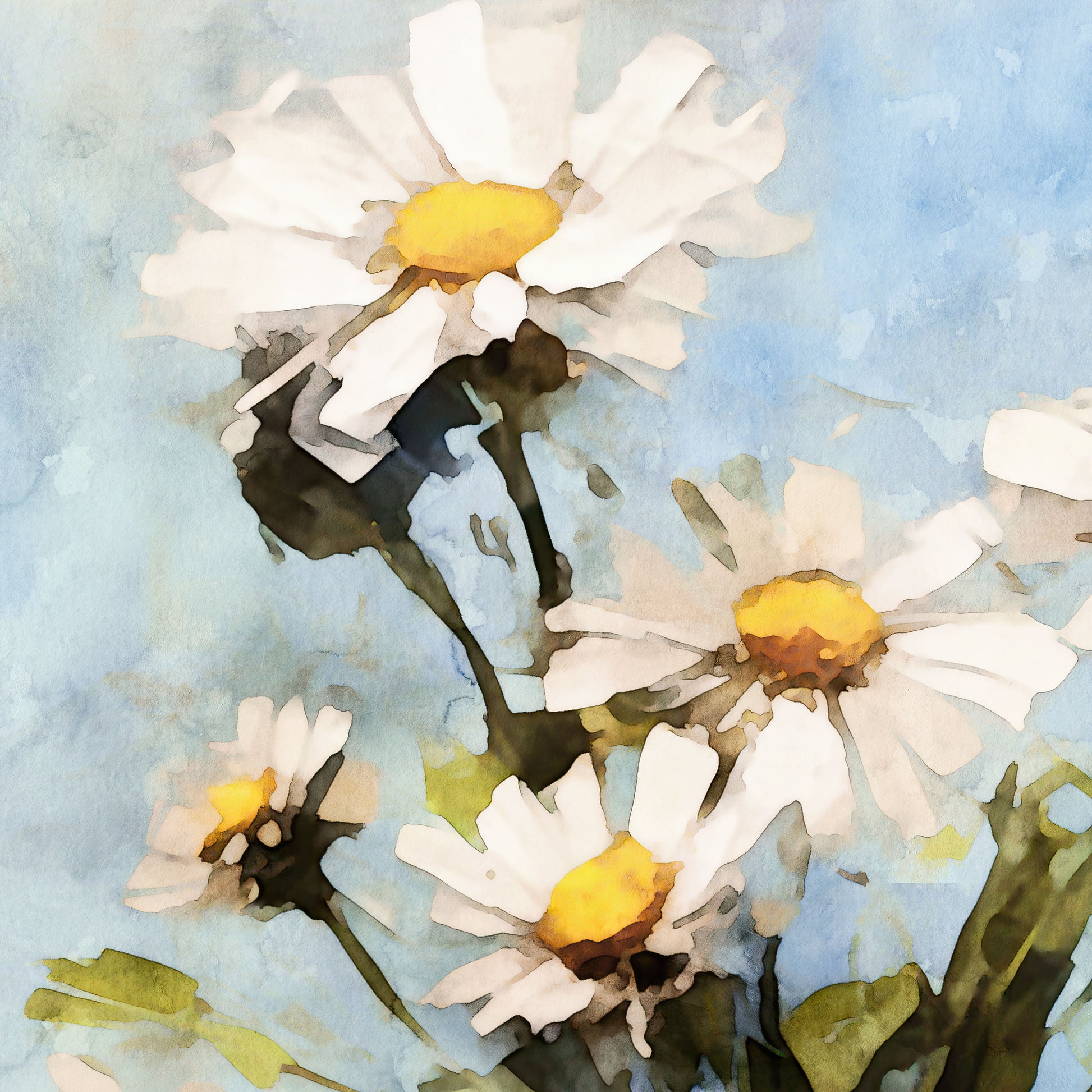 Watercolor painting of white daisies with bright yellow centers set against a soft blue background. The stems and leaves are painted in green hues, with flowing brushstrokes and gentle shading, creating a fresh and cheerful impressionistic style.