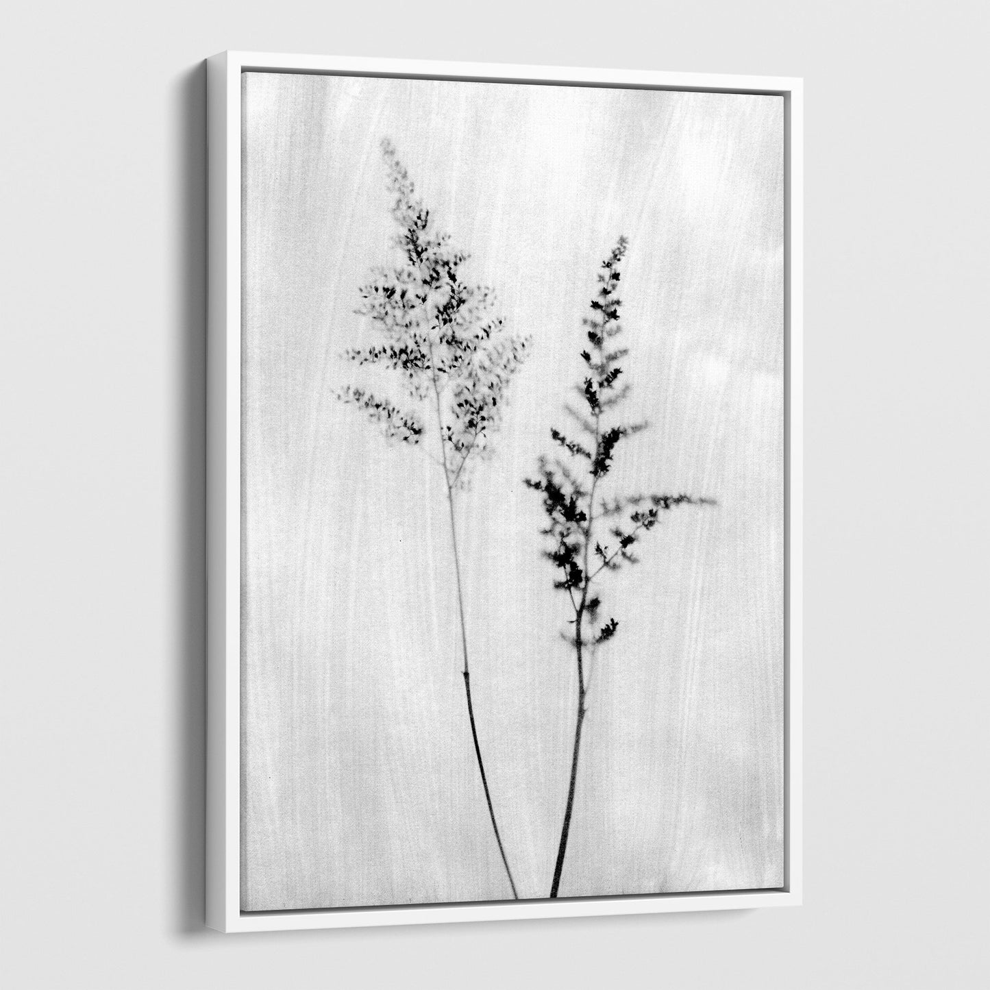 Minimalist Wildflower Silhouette Black and White Photography Print