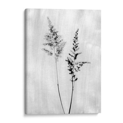 Minimalist Wildflower Silhouette Black and White Photography Print