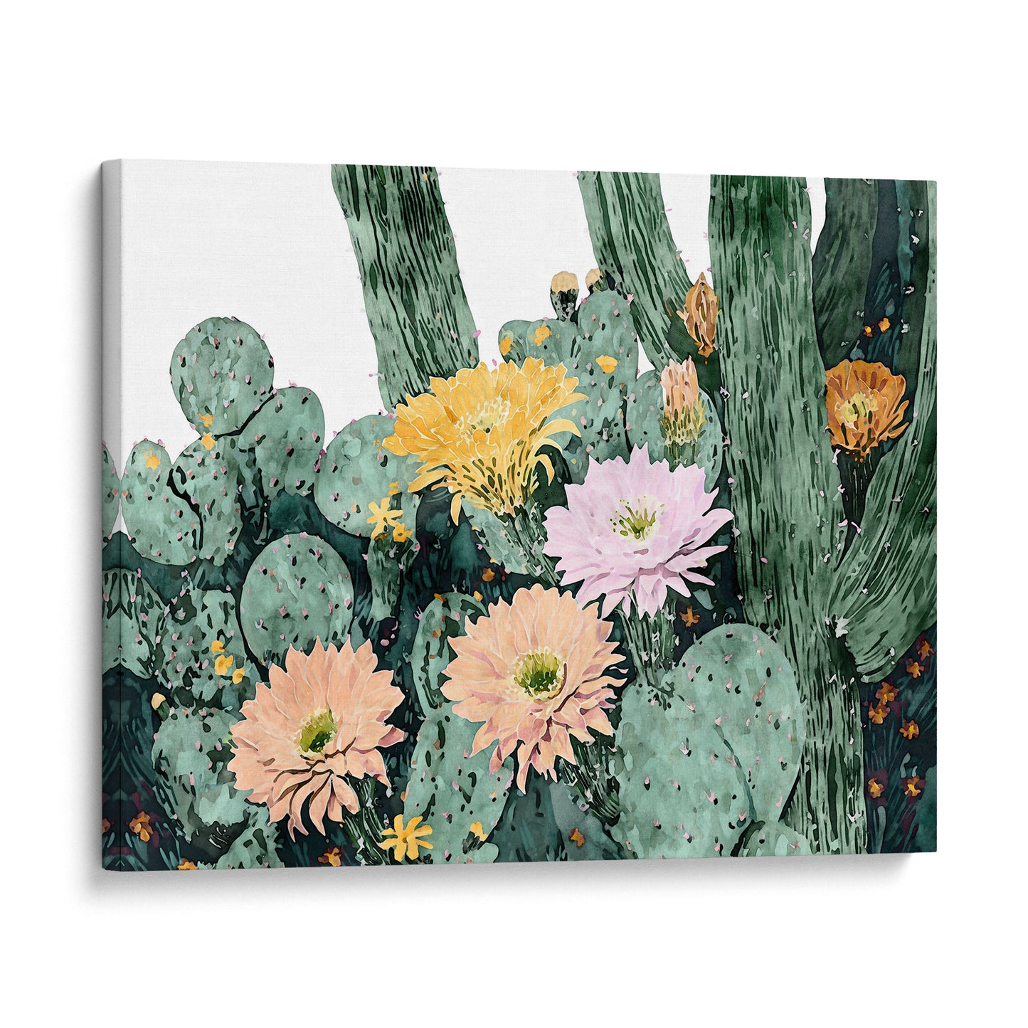 Cactus Bloom Watercolor Art Print