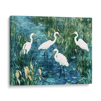 Canvas print of white egrets in a marshy area with water and reeds.