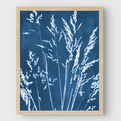 Wild Grasses Cyanotype - Vertical Print