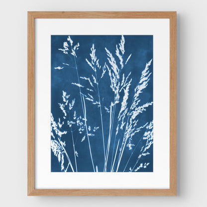 Wild Grasses Cyanotype - Vertical Print