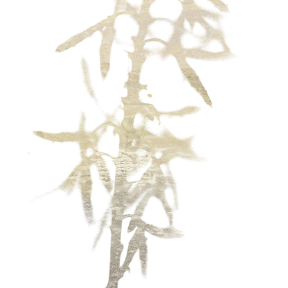 Beige Bamboo Minimalist Botanical Print