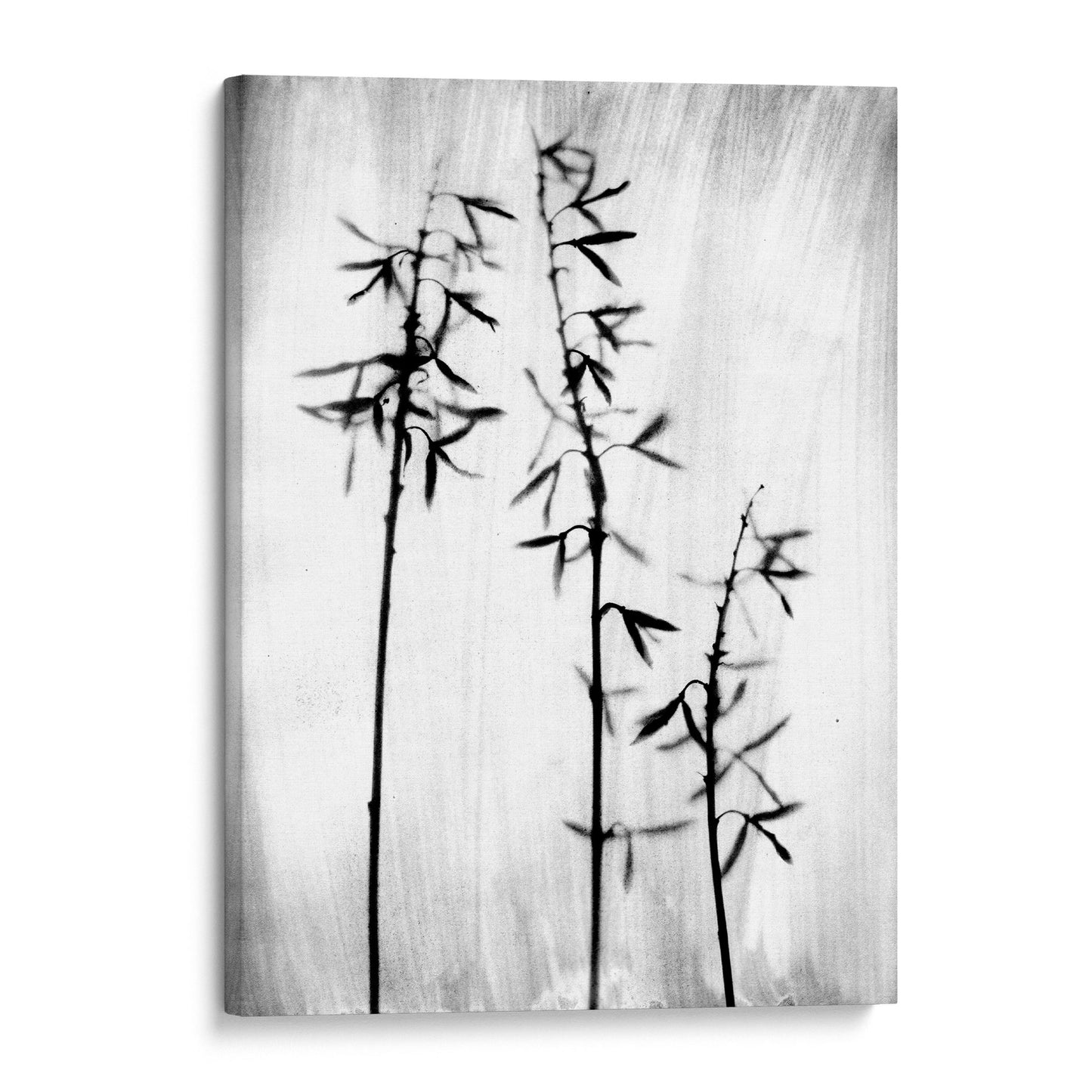 Black and White Bamboo Silhouette Photography Print