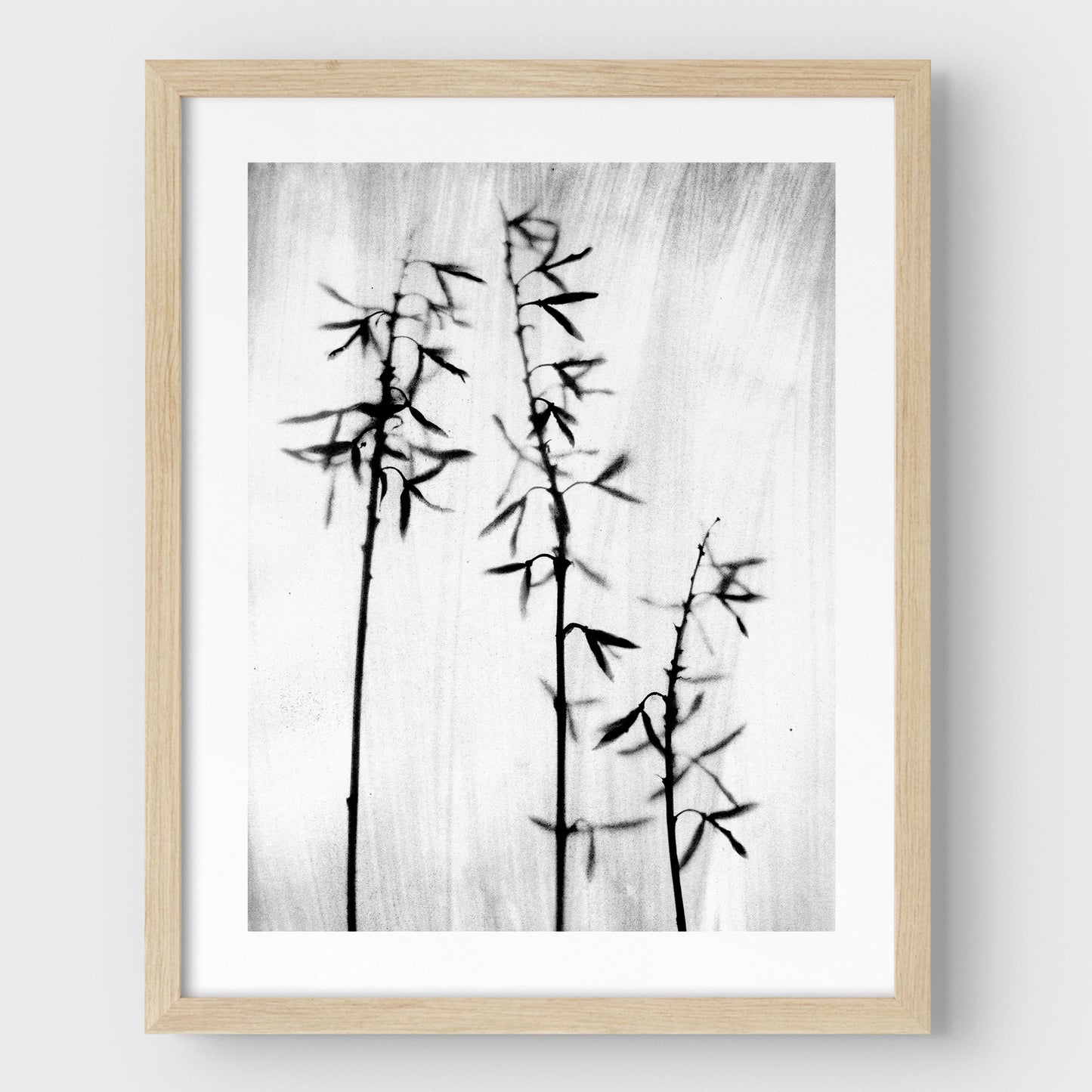 Black and White Bamboo