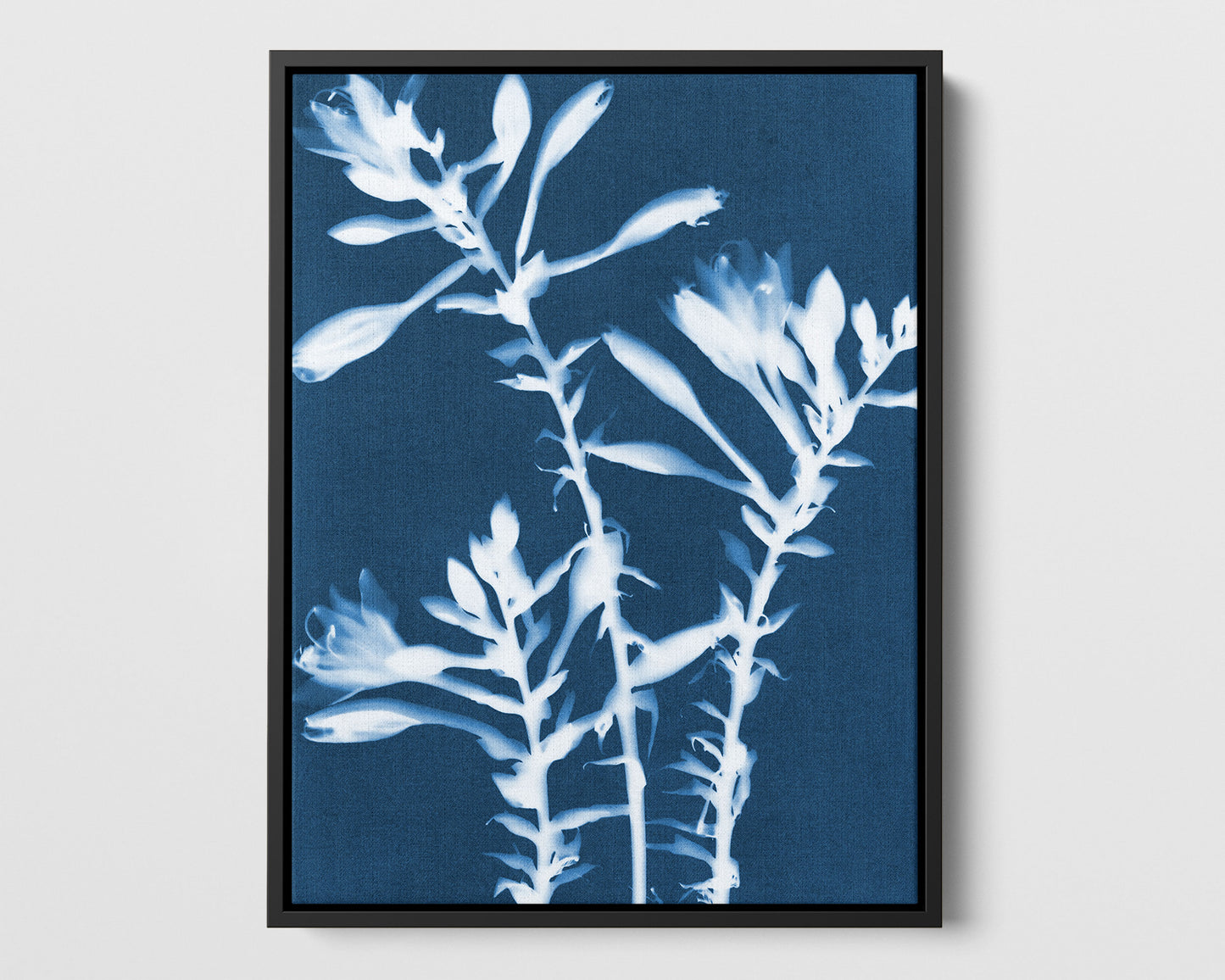 Hosta Cyanotype Print