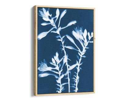 Framed print of a cyanotype featuring white hosta flowers against a deep blue background, enclosed in a sleek natural wood frame with a modern profile.