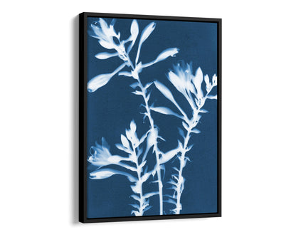 Framed print of a cyanotype featuring white hosta flowers against a deep blue background, enclosed in a sleek black frame with a modern profile.