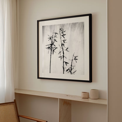 Black and White Bamboo