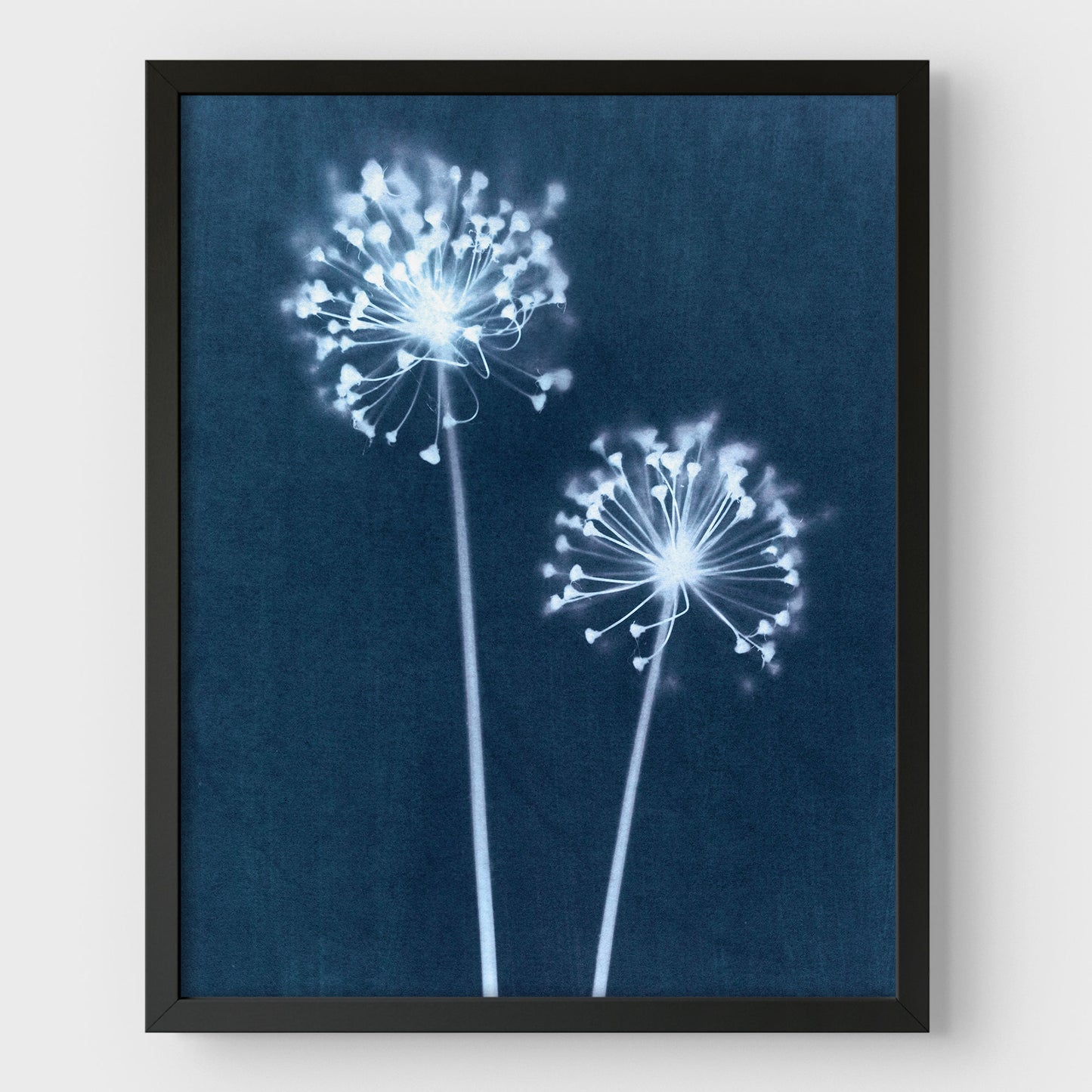 Indigo Dandelion Print
