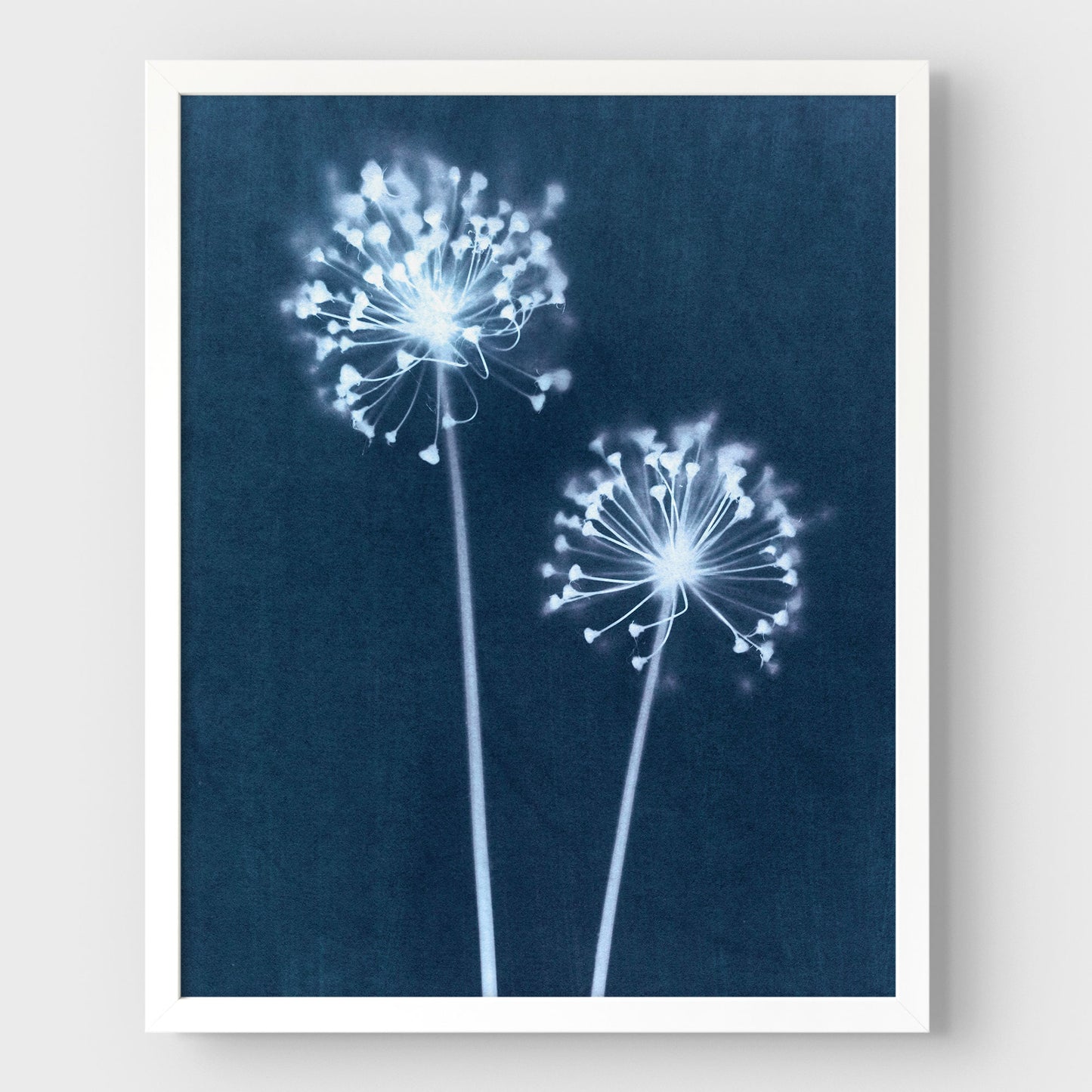 Indigo Dandelion Print