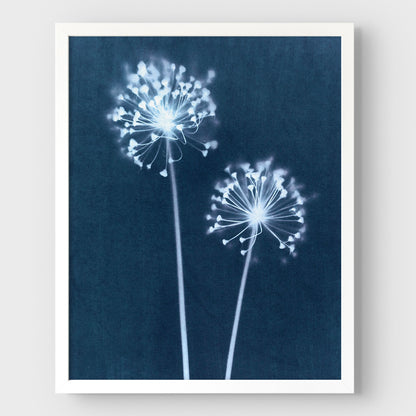Indigo Dandelion Print