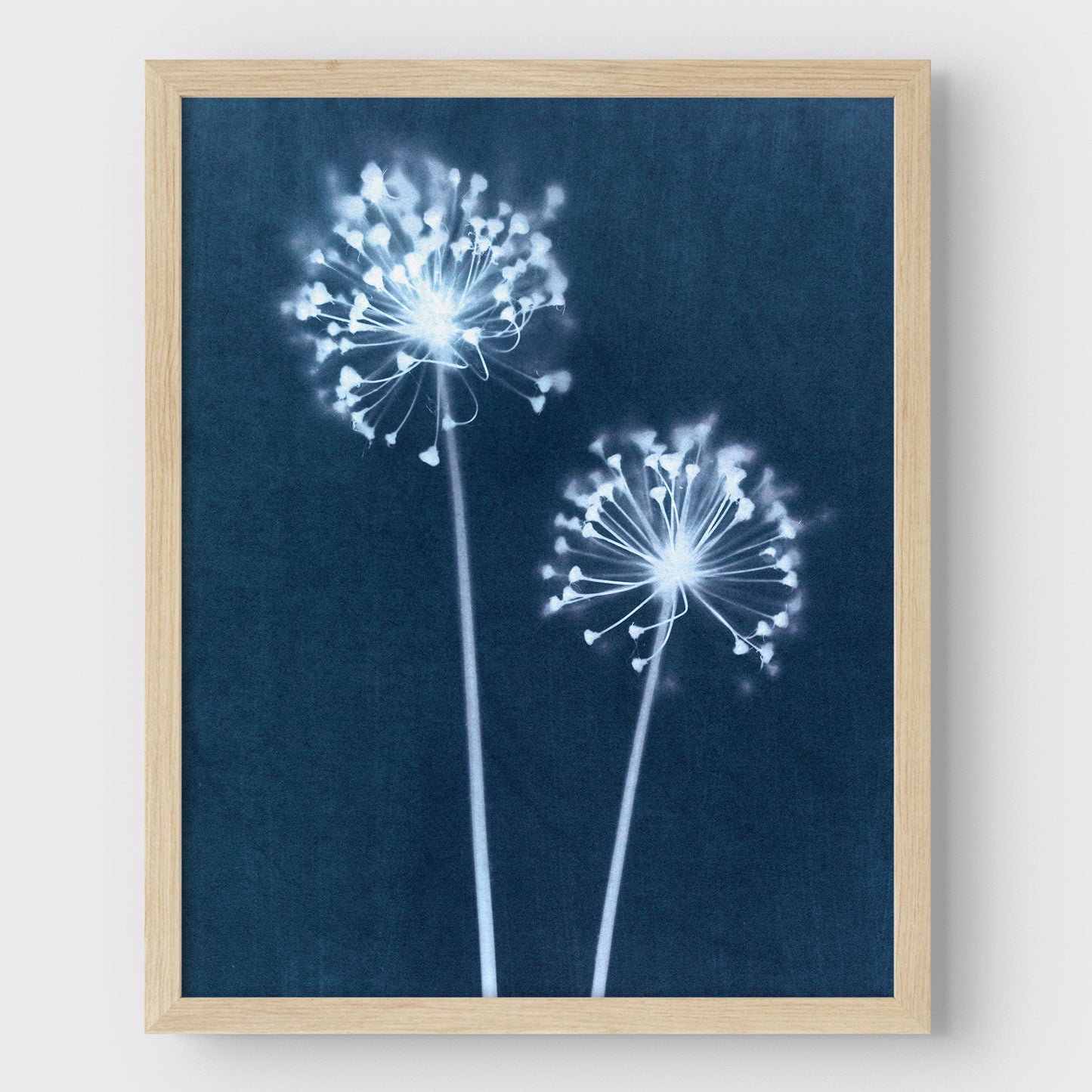 Indigo Dandelion Print
