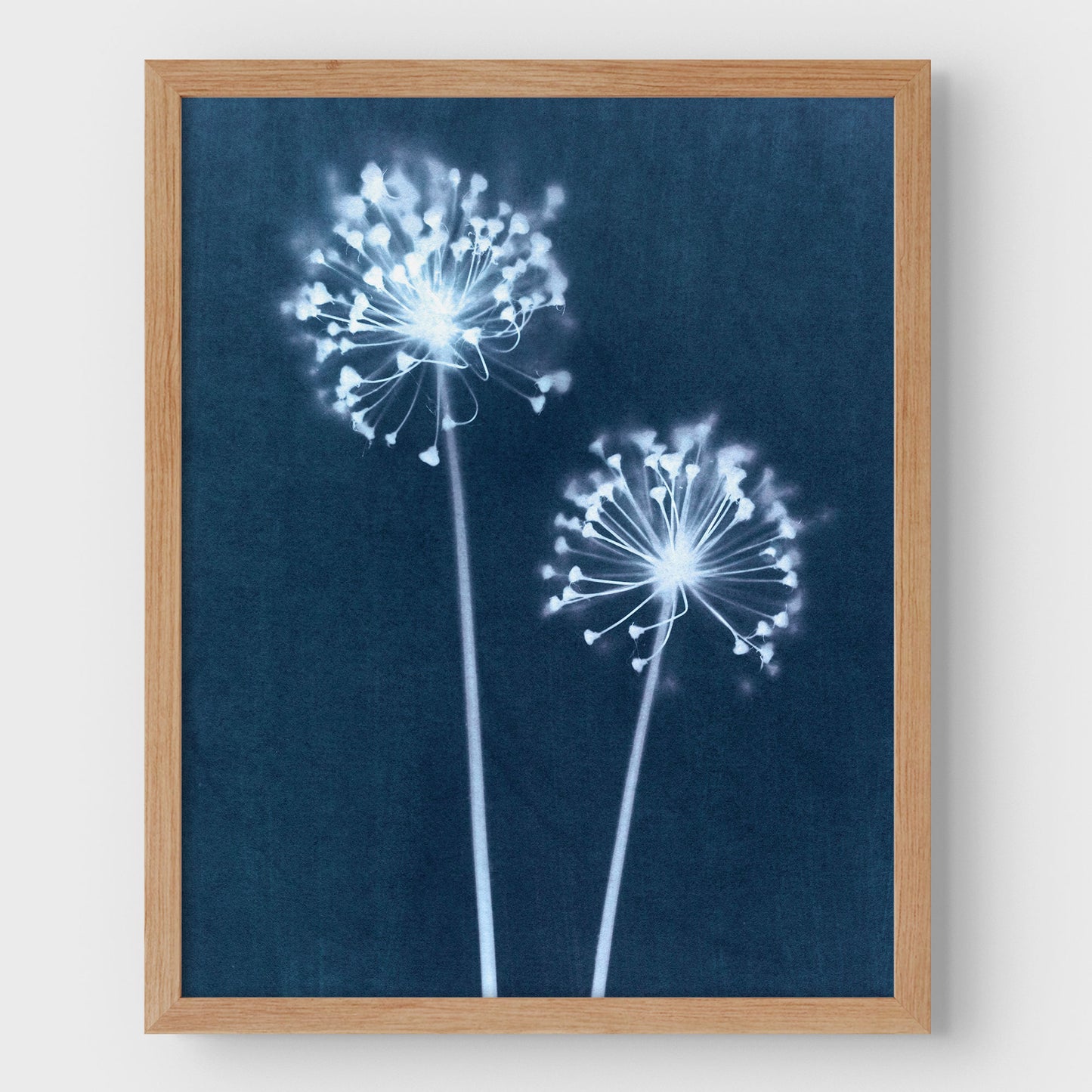 Indigo Dandelion Print