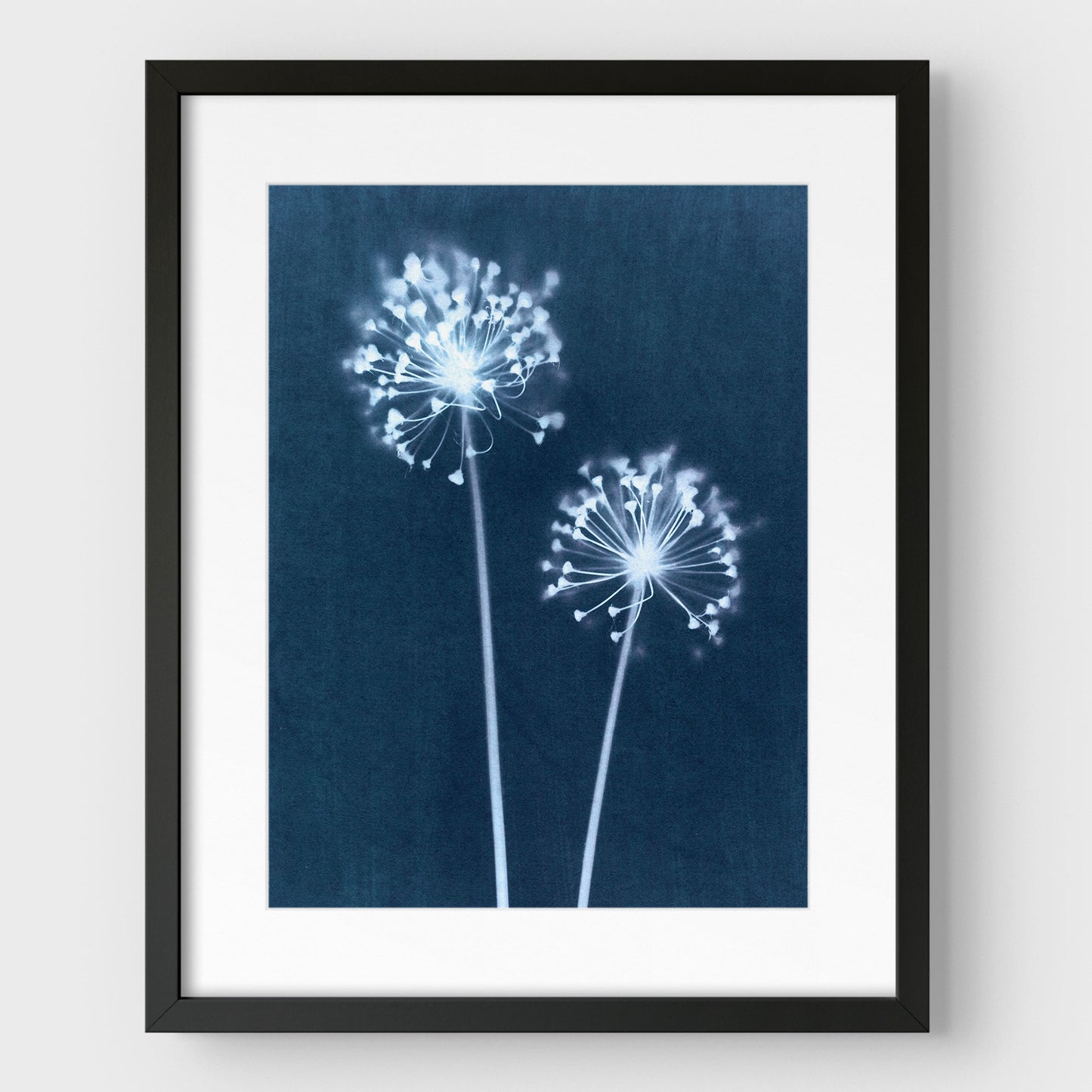 Indigo Dandelion Print