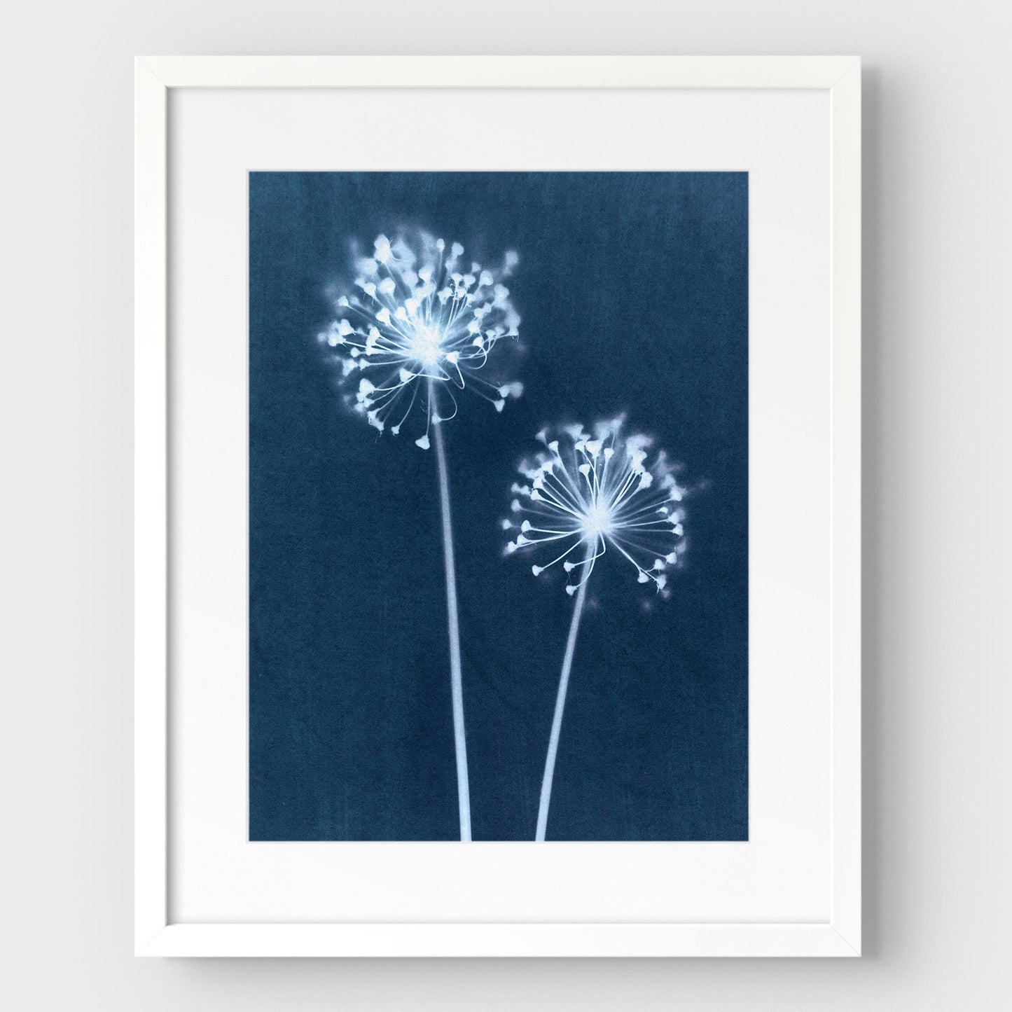 Indigo Dandelion Print