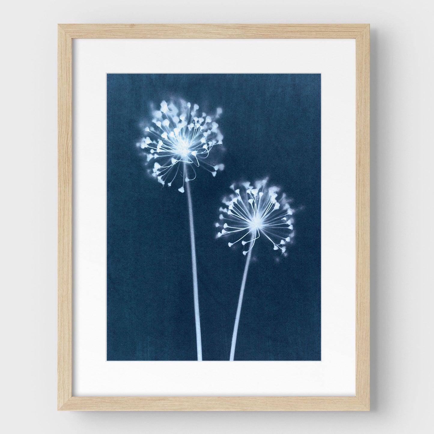 Indigo Dandelion Print