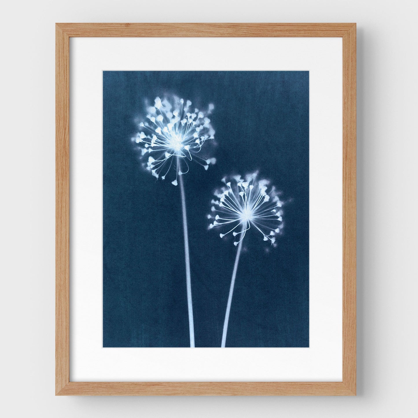 Indigo Dandelion Print