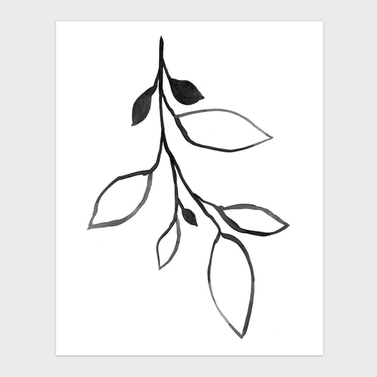 Minimalist Botanical Black and White Ink Illustration Print