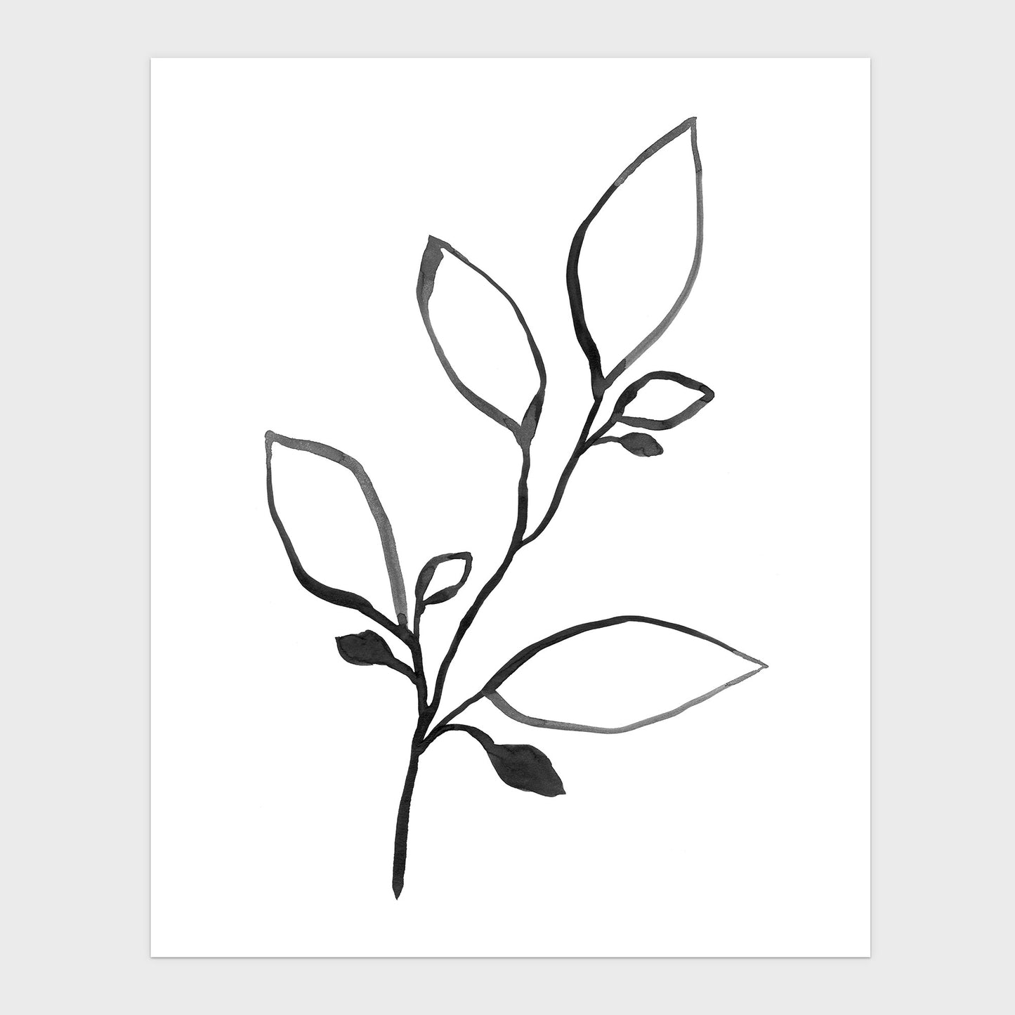 Black and White Minimalist Botanical Ink Illustration Print