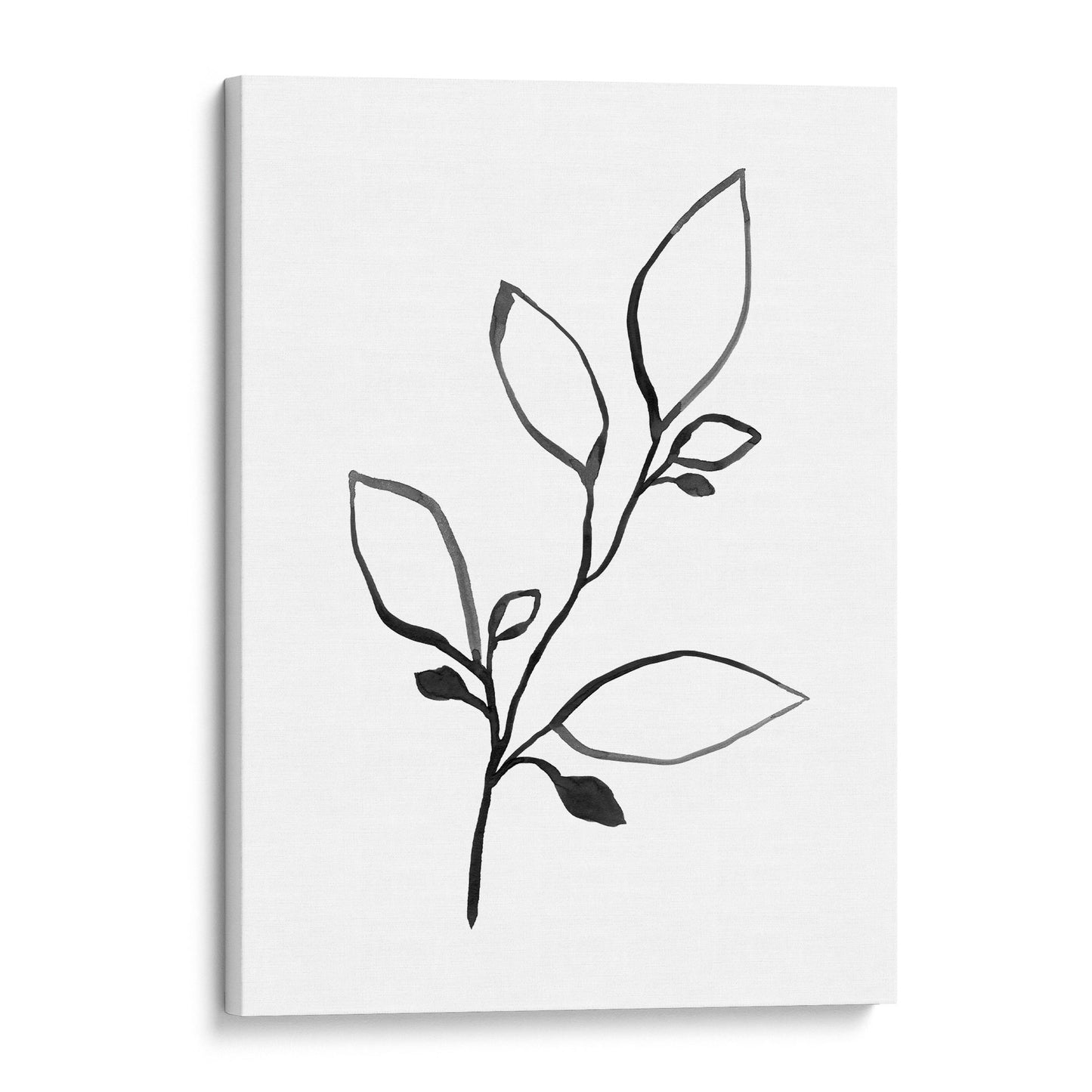 Black and White Minimalist Botanical Ink Illustration Print