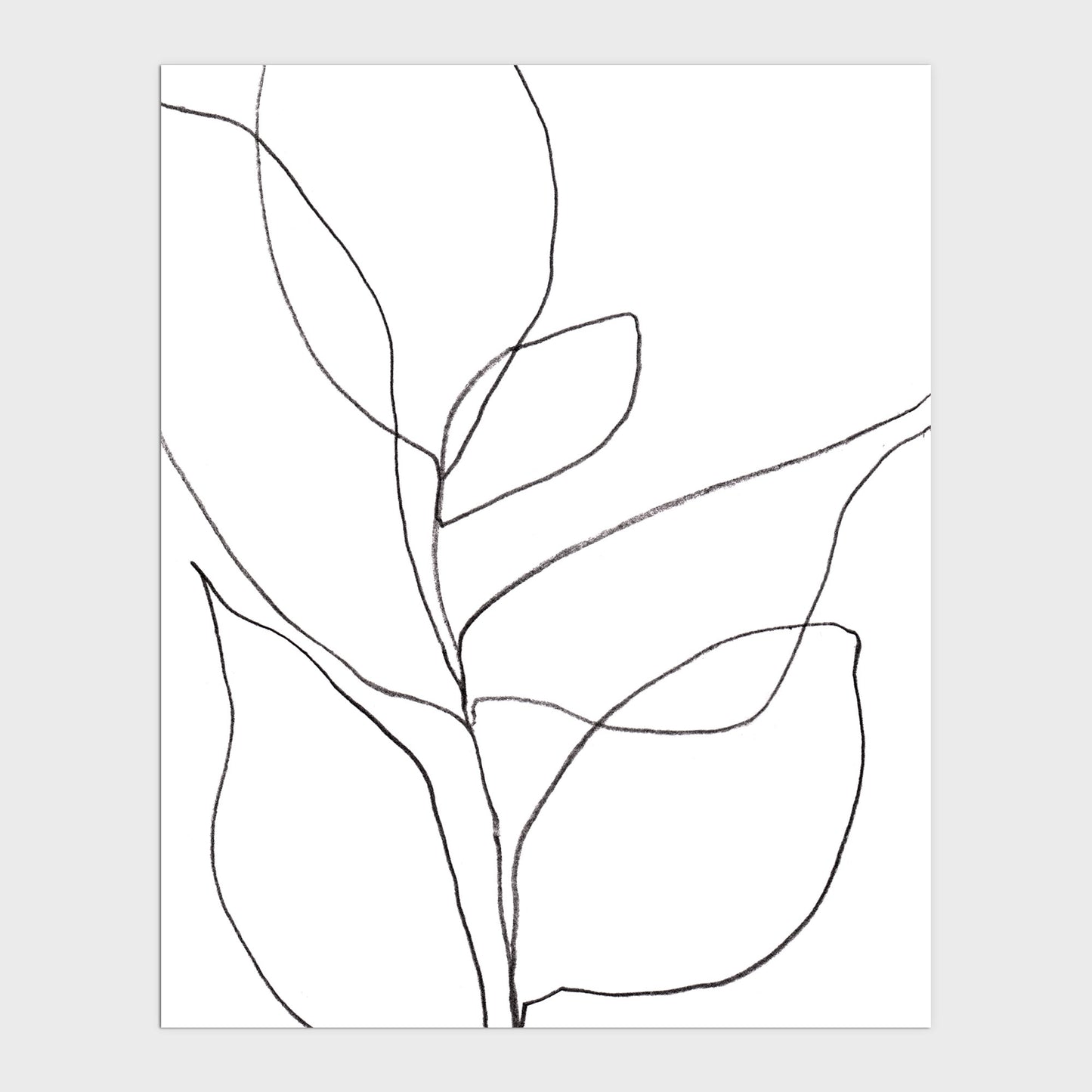 Minimalist Botanical Black and White Line Drawing Print