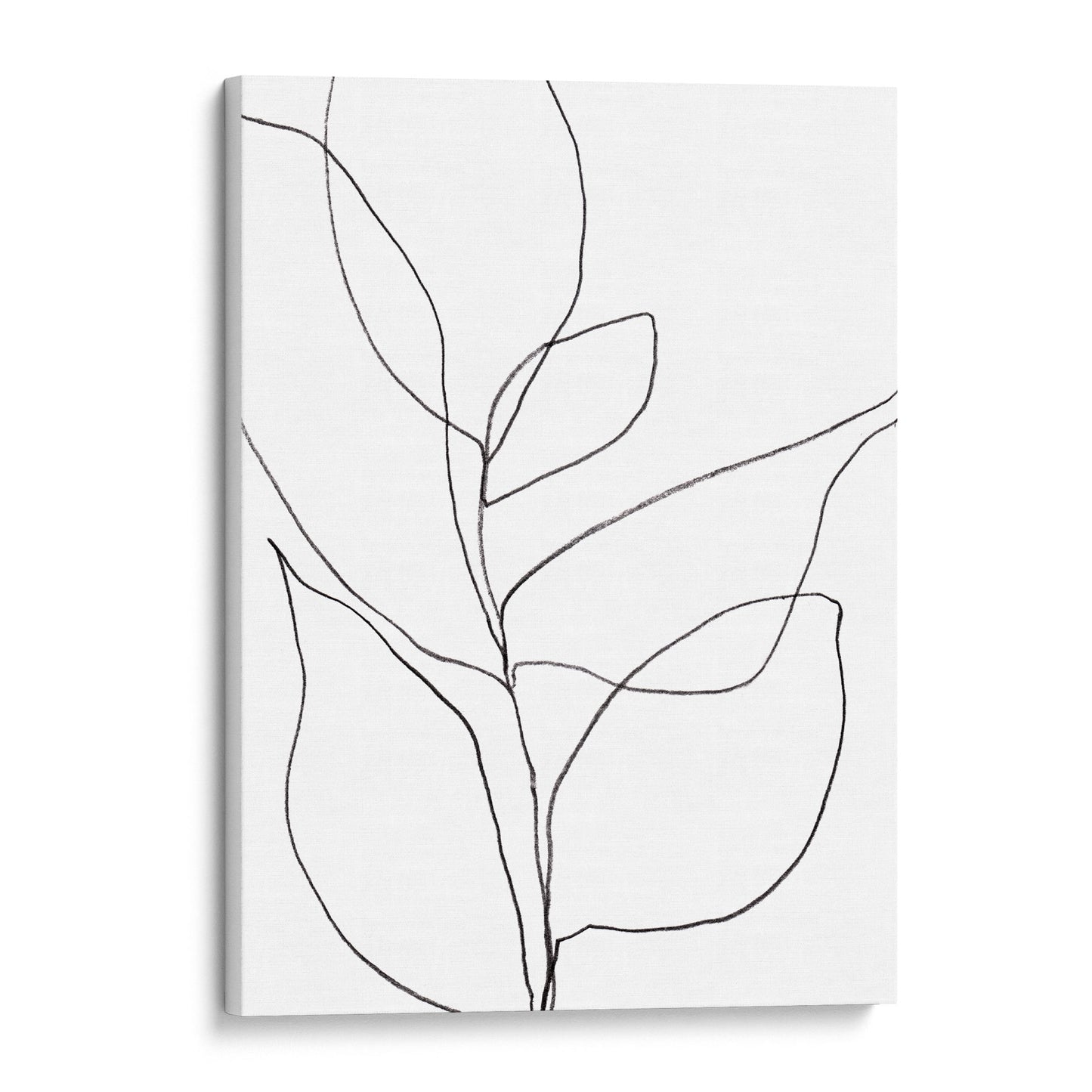 Minimalist Botanical Black and White Line Drawing Print