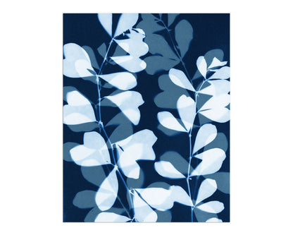 Cyanotype-style botanical artwork featuring layered silhouettes of delicate leaves in pale blue and soft indigo, creating a dreamy, overlapping pattern against a deep navy background.