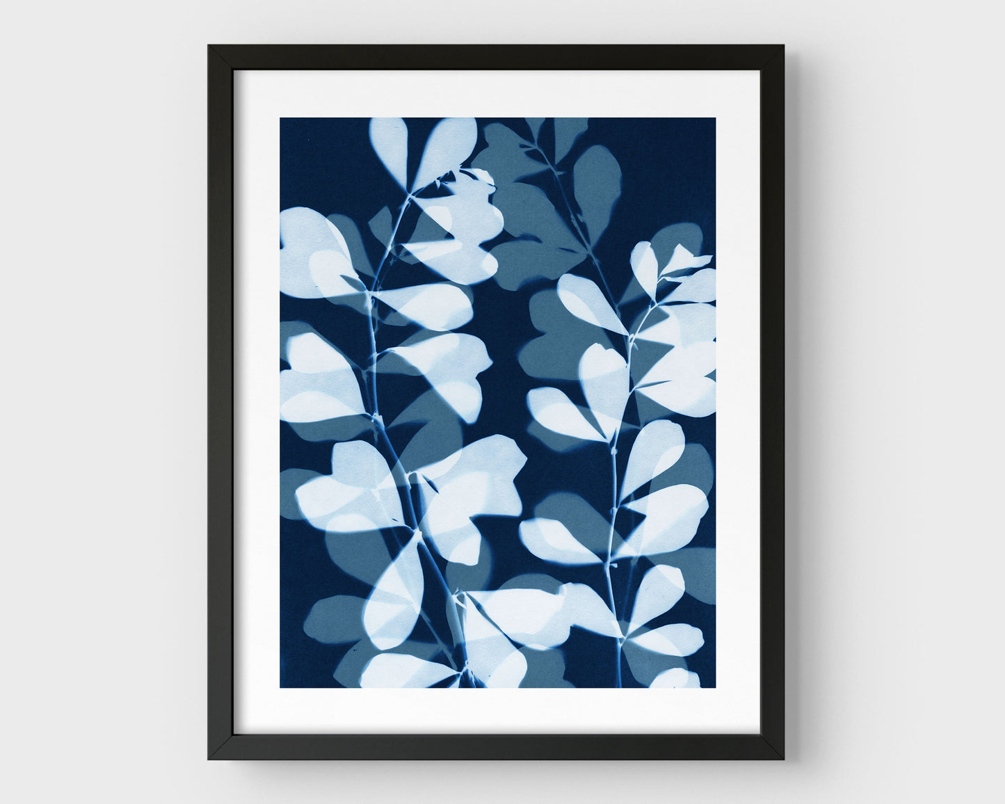Black framed cyanotype-style print featuring layered silhouettes of delicate botanical stems and rounded leaves in soft blue and deep indigo on a white background.