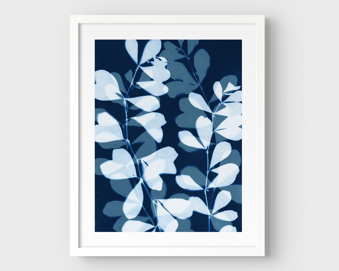 White framed cyanotype-style print featuring layered silhouettes of delicate botanical stems and rounded leaves in soft blue and deep indigo on a white background.