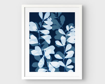 White framed cyanotype-style print featuring layered silhouettes of delicate botanical stems and rounded leaves in soft blue and deep indigo on a white background.