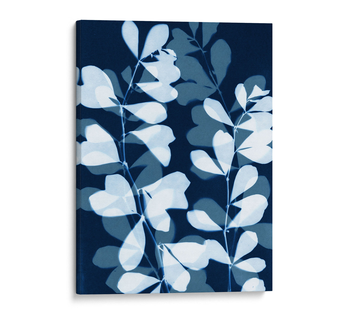 Gallery-wrapped canvas print of delicate cyanotype-style botanical stems and layered leaves in soft blue and indigo against a rich navy background.