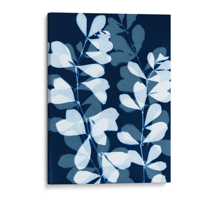 Gallery-wrapped canvas print of delicate cyanotype-style botanical stems and layered leaves in soft blue and indigo against a rich navy background.