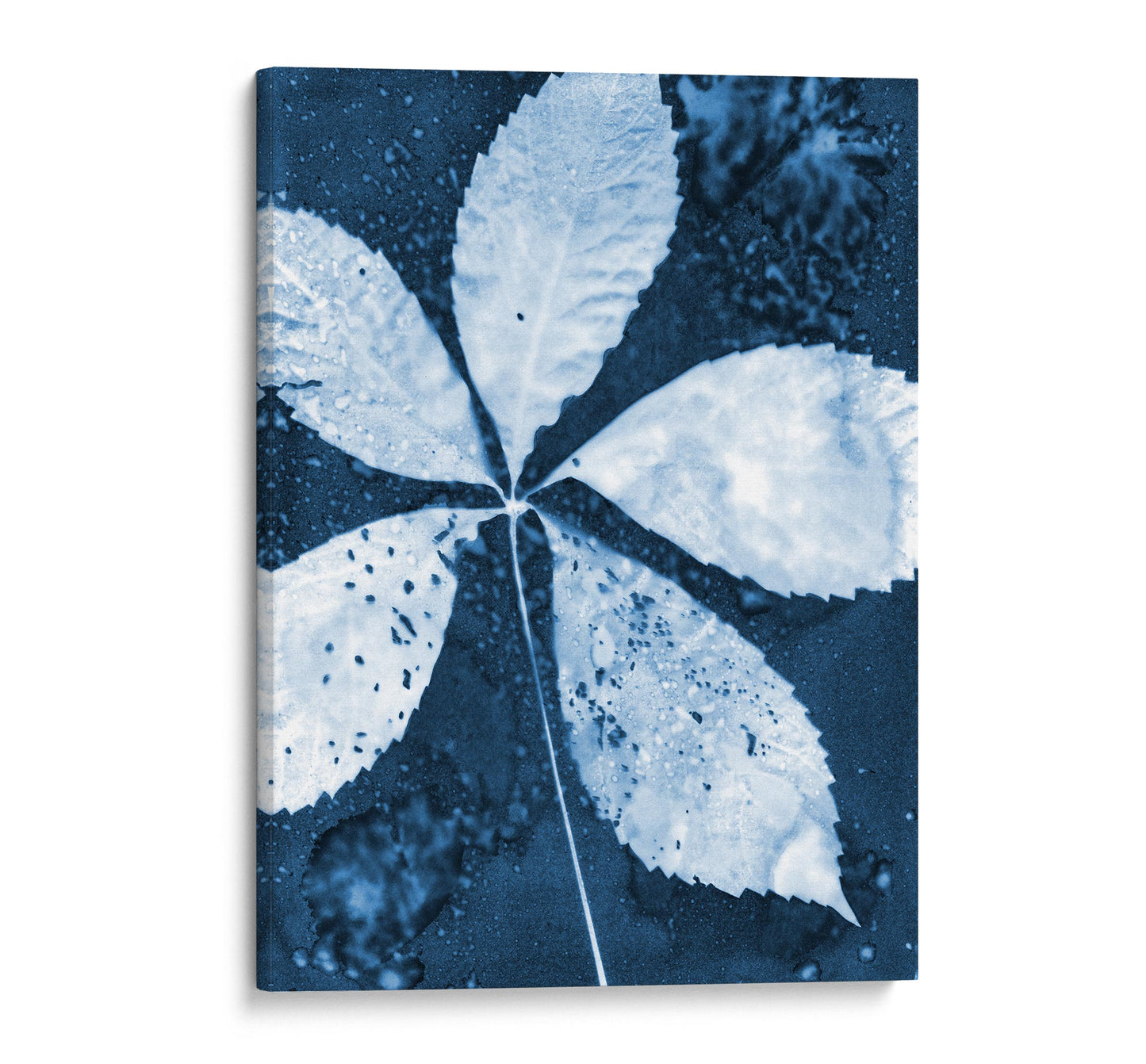 Canvas print of a cyanotype botanical artwork featuring a five-leaf composition in deep blue and white, showcasing intricate leaf textures and organic details.