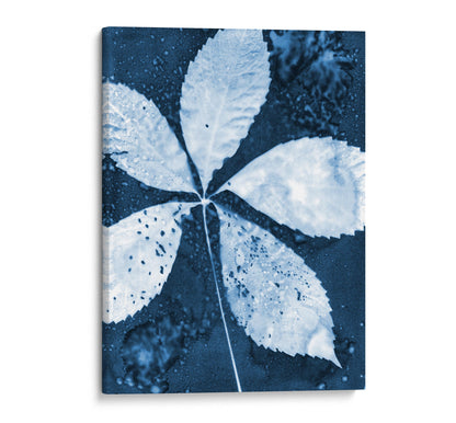Canvas print of a cyanotype botanical artwork featuring a five-leaf composition in deep blue and white, showcasing intricate leaf textures and organic details.
