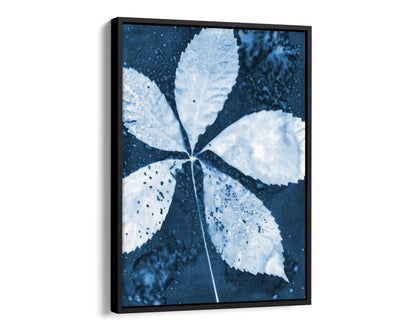 Black framed canvas print of a cyanotype botanical artwork featuring a five-leaf composition in deep blue and white, emphasizing organic textures and fine details.