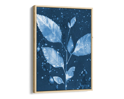 Natural wood framed cyanotype botanical print on canvas featuring a delicate leafy branch with water droplets, set against a deep blue background.