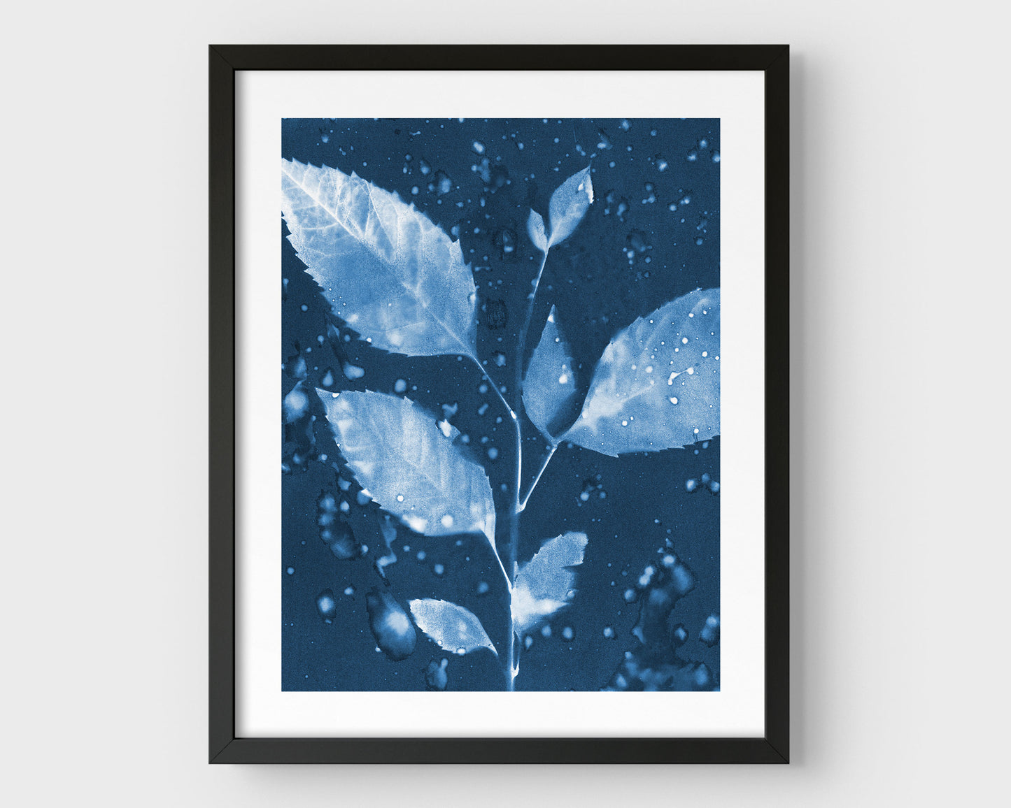 Framed cyanotype print featuring a botanical composition of a leafy branch with water droplets, set against a deep blue background with a black frame.