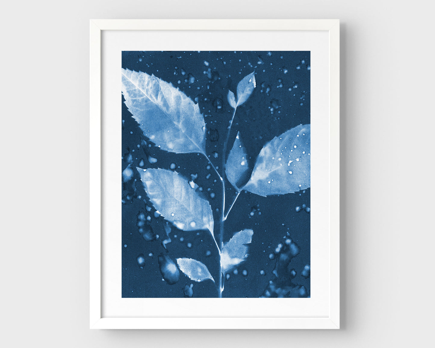 Framed cyanotype print featuring a botanical composition of a leafy branch with water droplets, set against a deep blue background with a white frame.