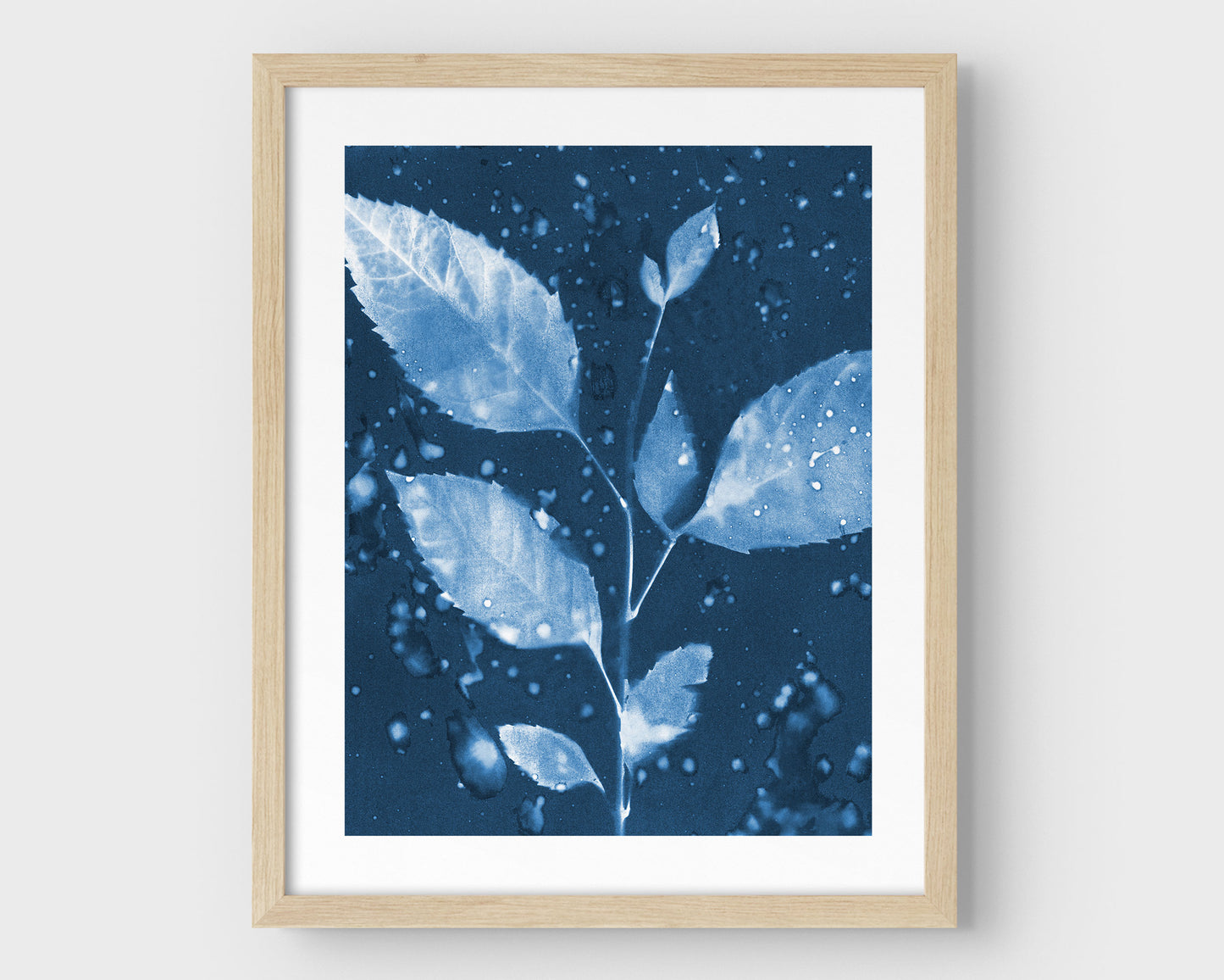 Framed cyanotype print featuring a botanical composition of a leafy branch with water droplets, set against a deep blue background with a natural wood frame.